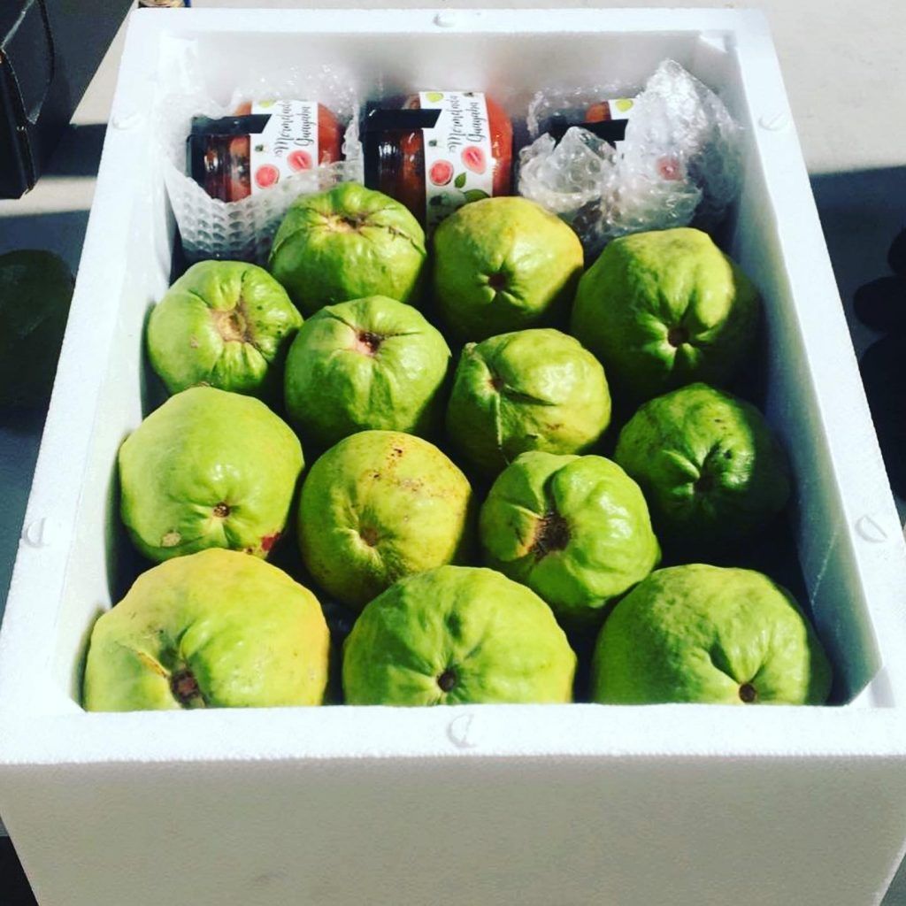 Fruteando