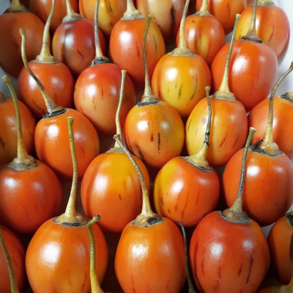 Fruteando