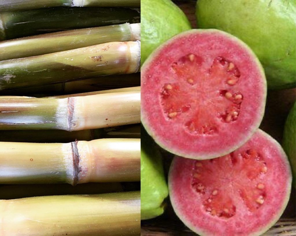 Fruteando