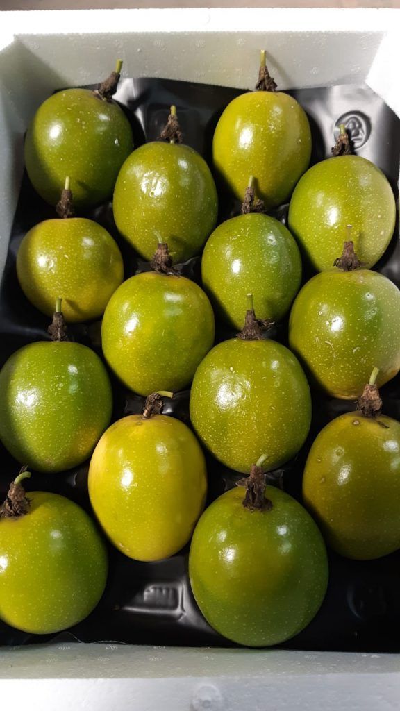 Fruteando