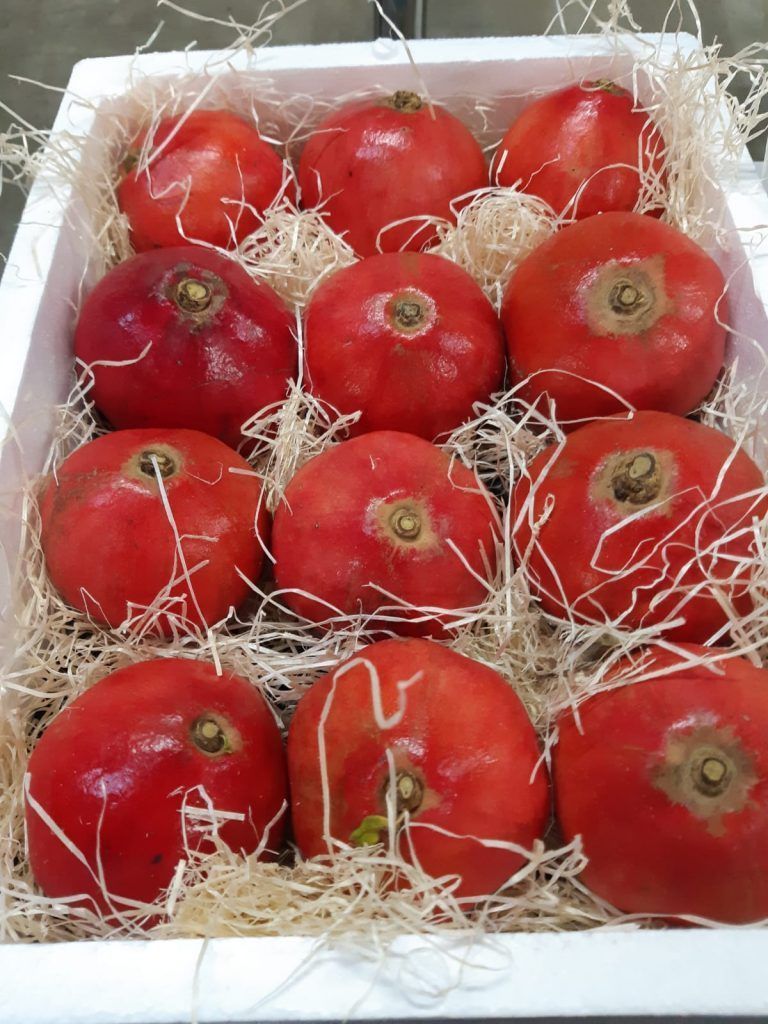 Fruteando