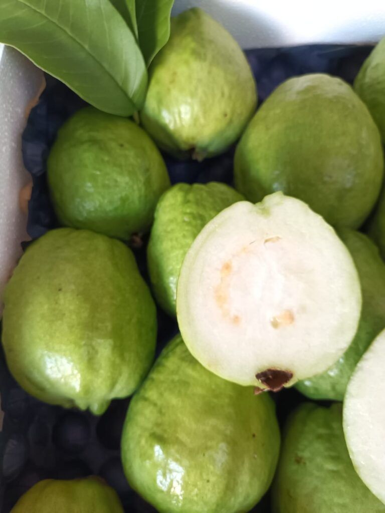 Fruteando