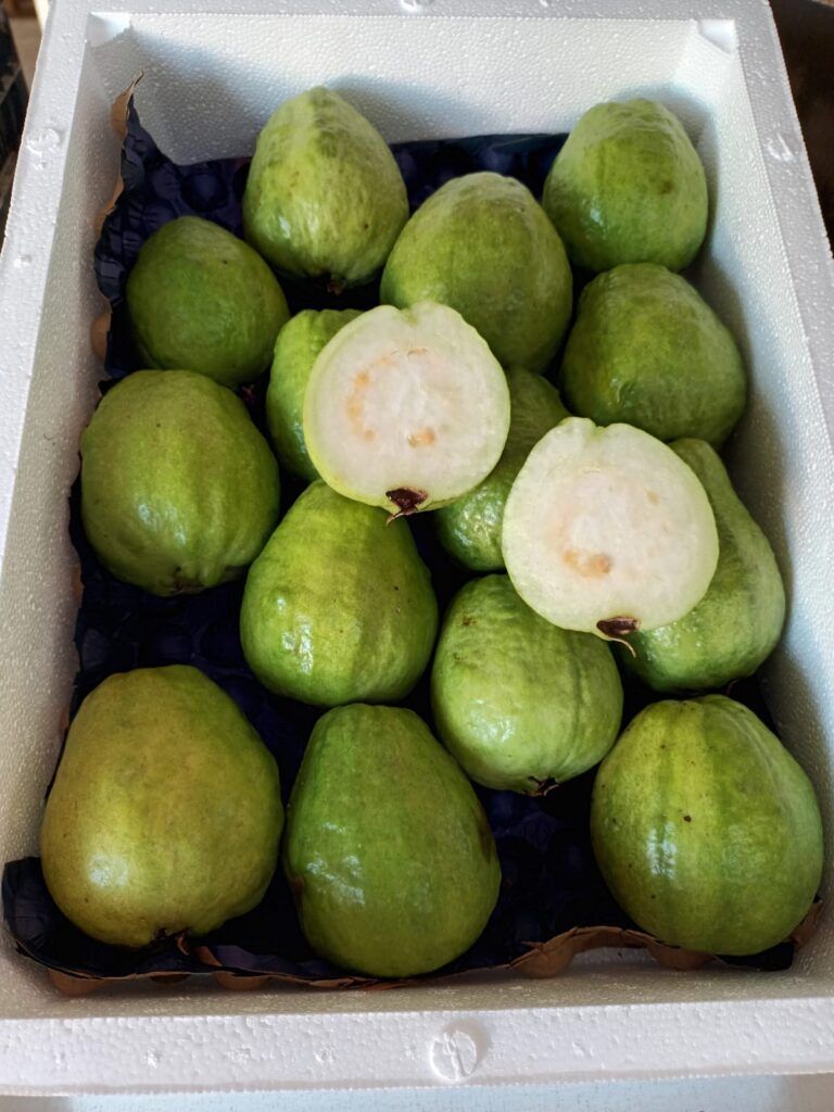 Fruteando